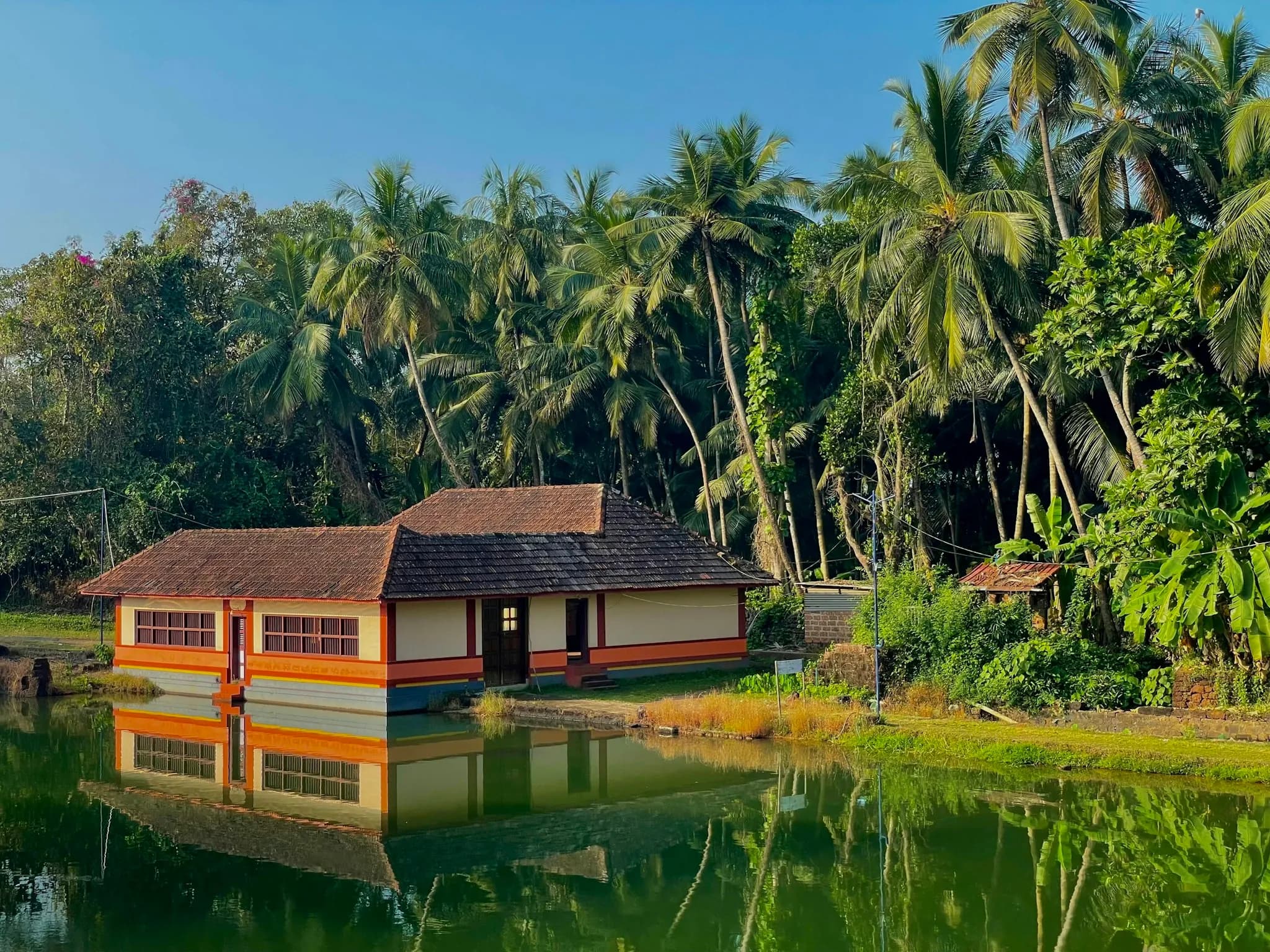 A lakeside cottage framed by coconut palms