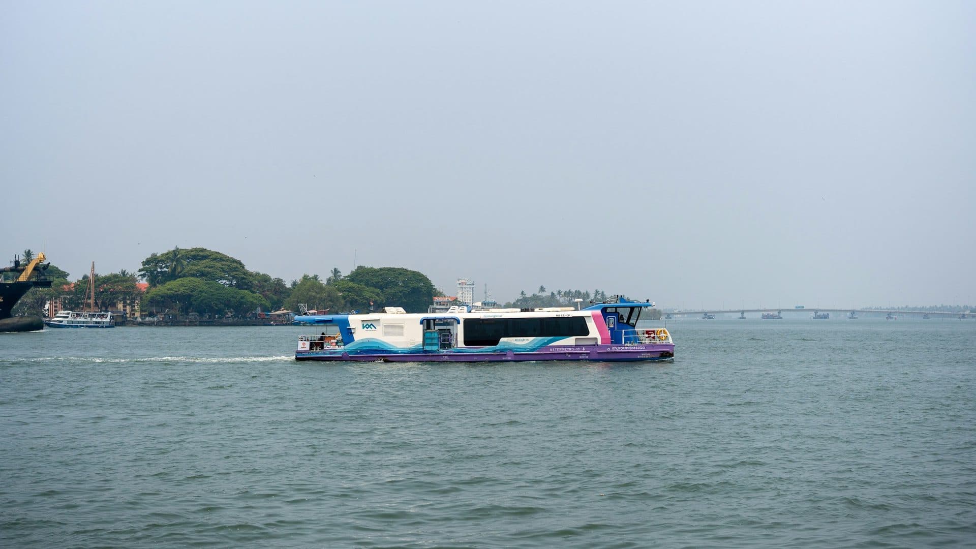Blue and white passenger ferry crosses open water near a tree-lined shore
