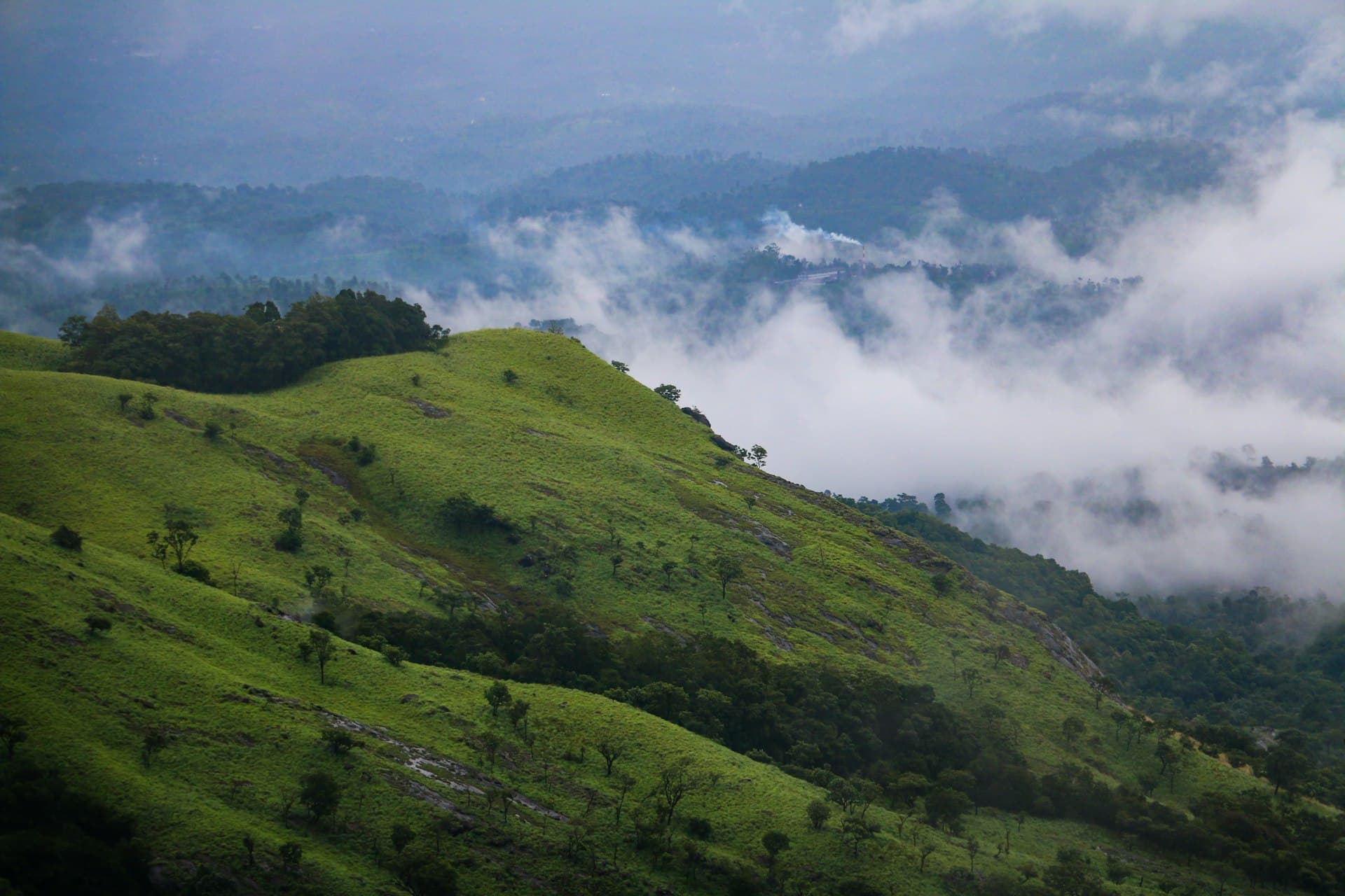 Grassy green hillside dotted with trees beside a valley filled with drifting low clouds