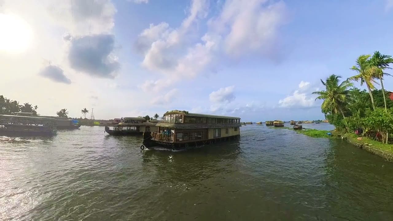 Houseboat cruising across a wide backwater past palm trees and other houseboats under a bright sky
