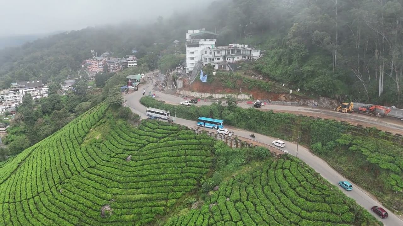 Aerial view of contoured tea bushes, a curving hill road with buses and misty forested slopes