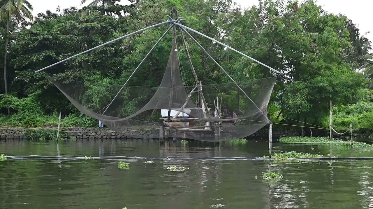 Large Chinese fishing net on a wooden platform over calm water in front of dense trees